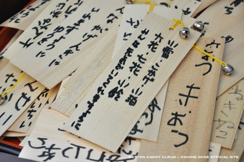 2011seto_05.jpg