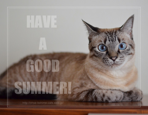2014summer.jpg