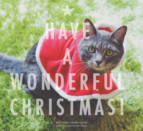 2015Xmas_01.jpg