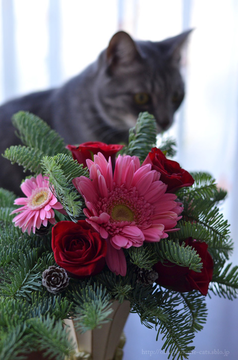 2015Xmas_04.jpg