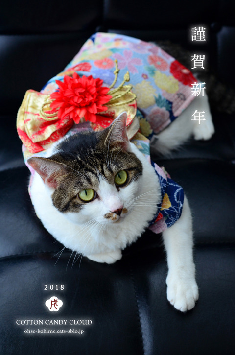 2018Nenga-momo.jpg
