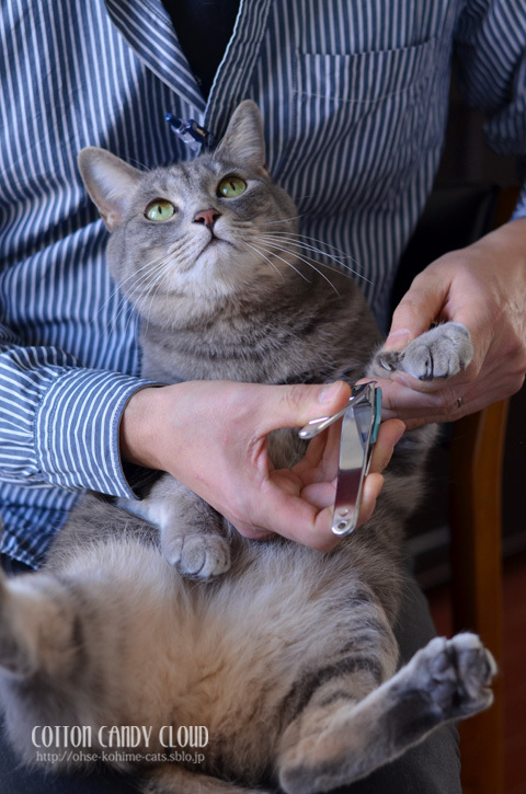 67 nail clipping_01.jpg