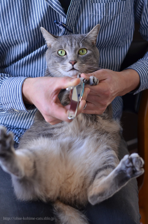 67 nail clipping_02.jpg