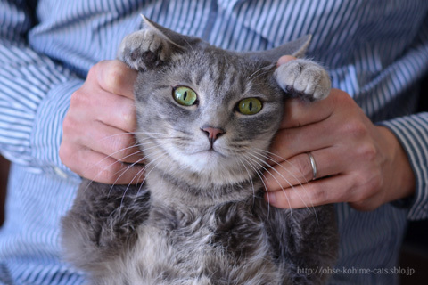 67 nail clipping_03.jpg