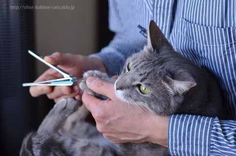 67 nail clipping_05.jpg