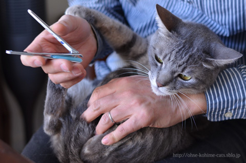 67 nail clipping_06.jpg