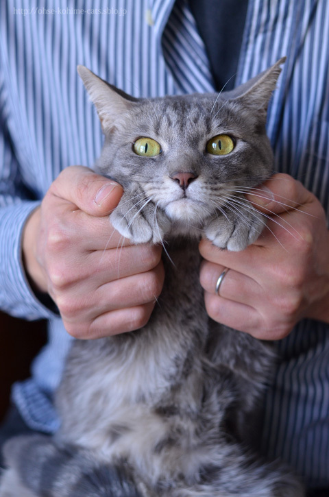 67 nail clipping_07.jpg