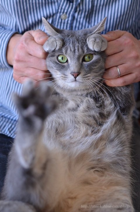 67 nail clipping_08.jpg