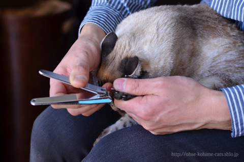67 nail clipping_09.jpg