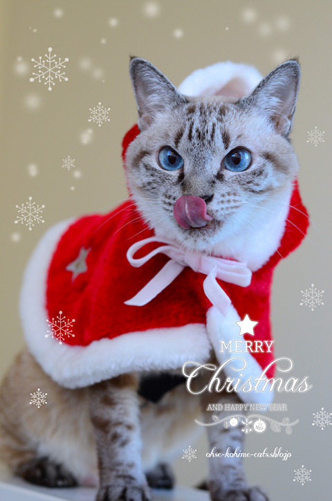 CCC.2017X'mas_01.jpg