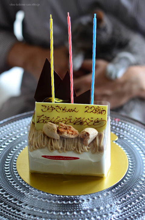CCC.koyuki_06.jpg