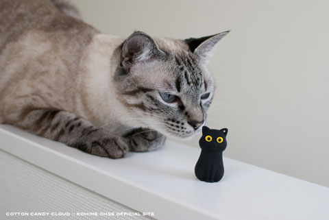 CatDriver_03.jpg