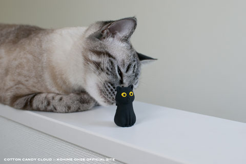 CatDriver_05.jpg