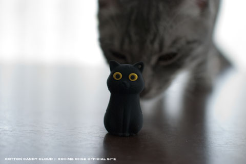CatDriver_08.jpg
