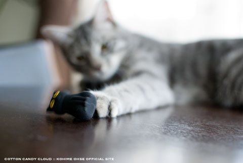 CatDriver_09.jpg
