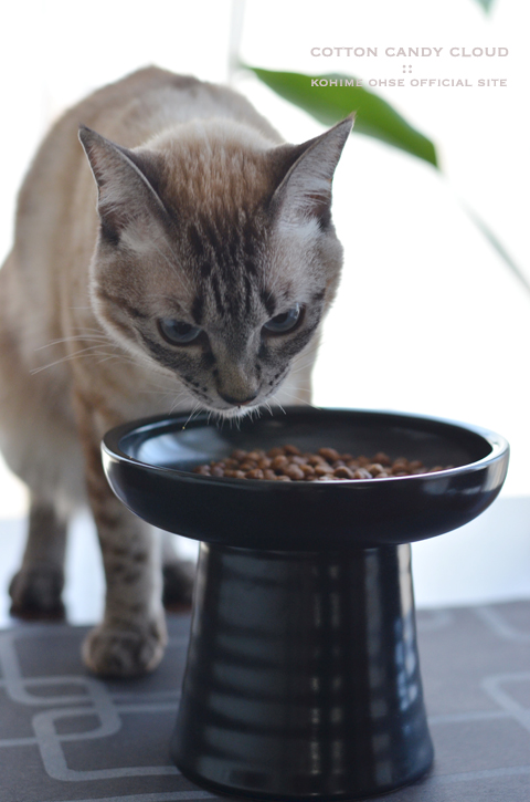 Classy Bowl_01.jpg