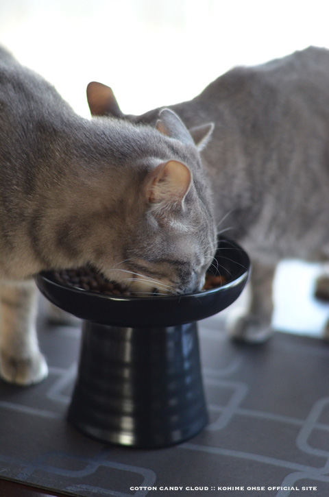 Classy Bowl_02.jpg