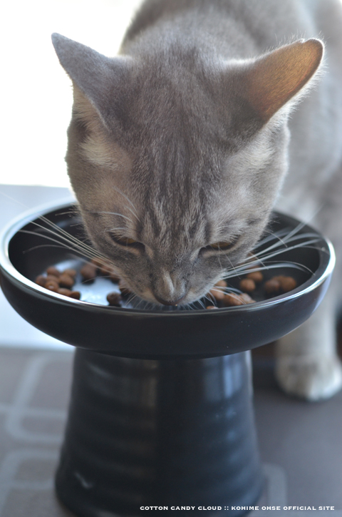 Classy Bowl_14.jpg