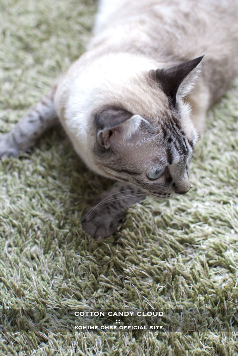 GRASS RUG_01.jpg