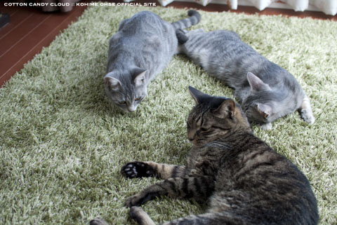 GRASS RUG_02.jpg