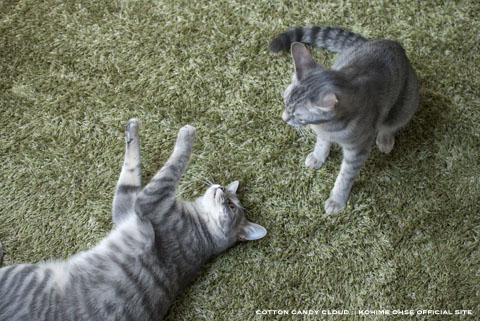 GRASS RUG_04.jpg