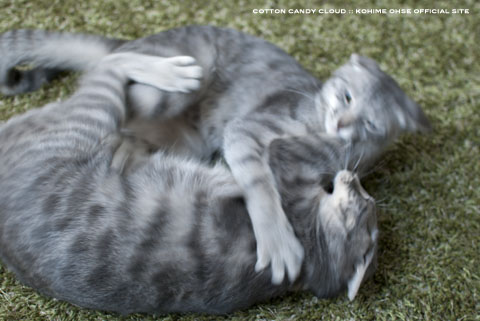 GRASS RUG_05.jpg