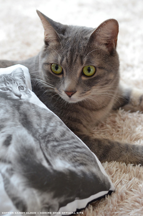 Uchineco-Cushion_03.jpg