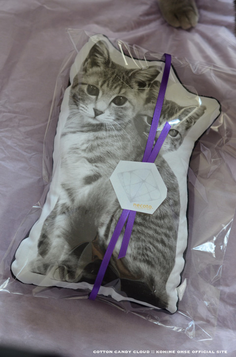 Uchineco-Cushion_04.jpg