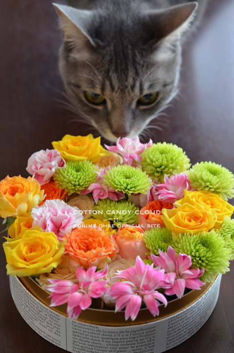 flowerbox_01.jpg