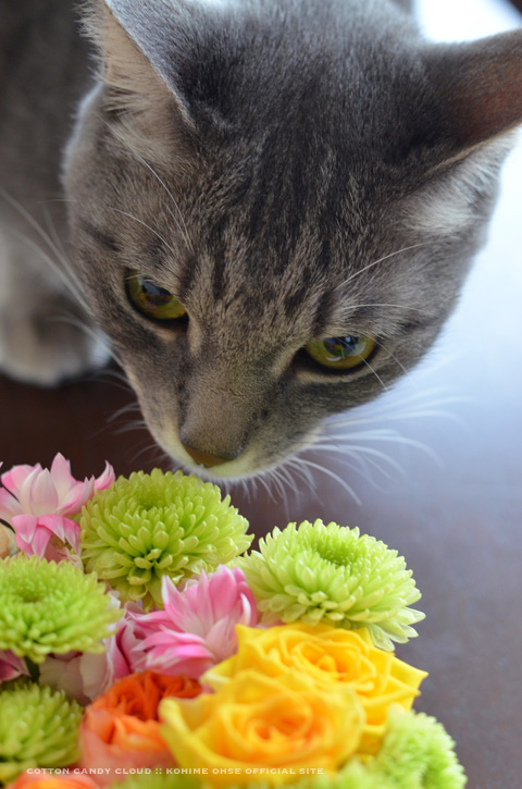 flowerbox_02.jpg
