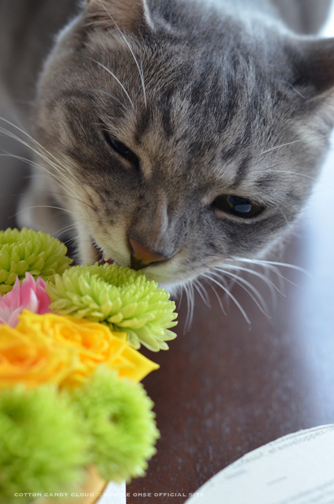 flowerbox_03.jpg