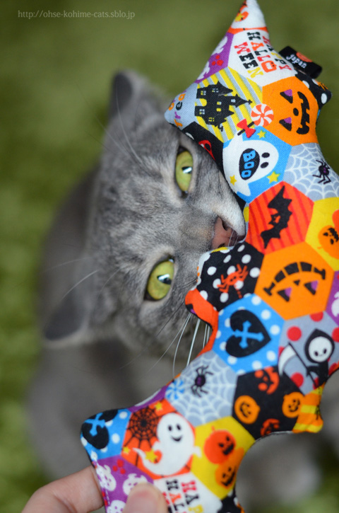 halloween2014_02.jpg