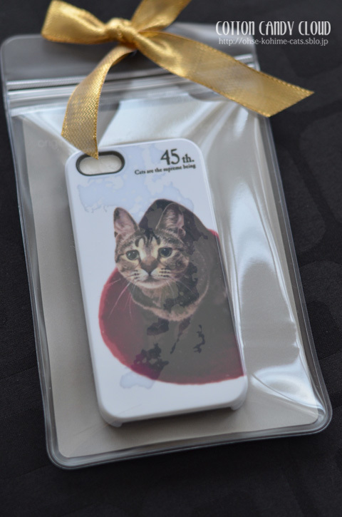 kosuzucase_01.jpg
