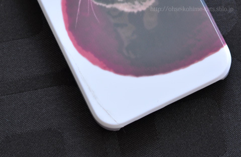 kosuzucase_04.jpg