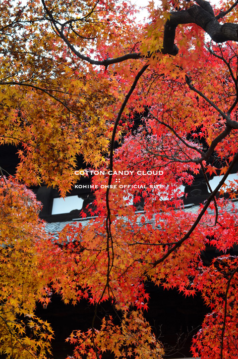 kyoto2013_01.jpg