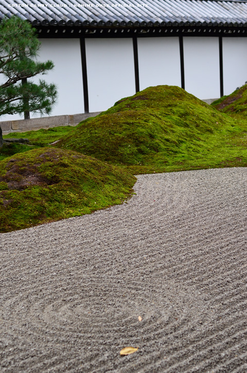 kyoto2013_05.jpg