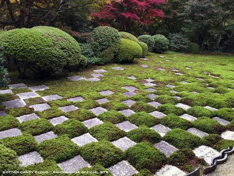 kyoto2013_10.jpg