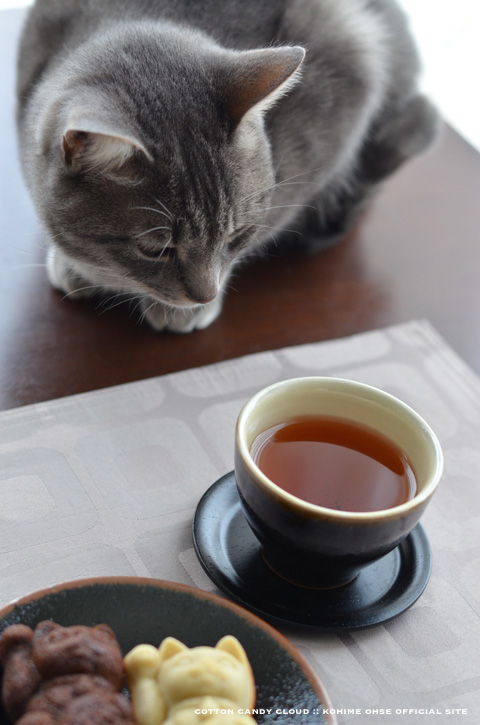 neco.soku_04.jpg