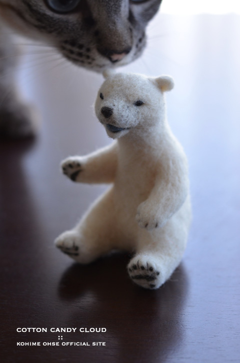 polarbear_02.jpg