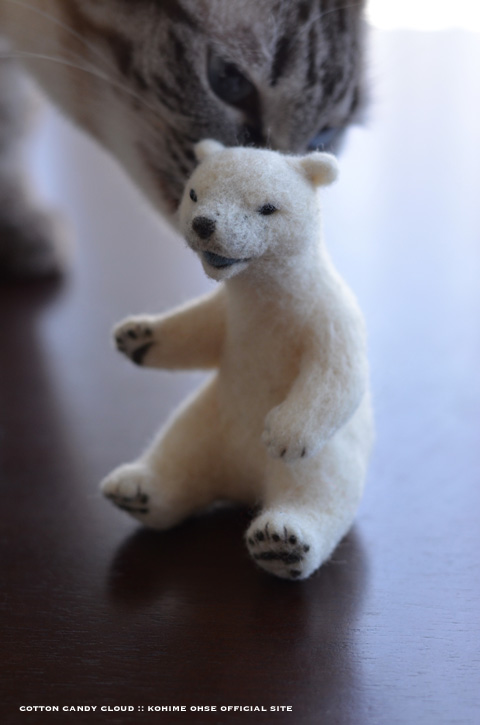 polarbear_03.jpg