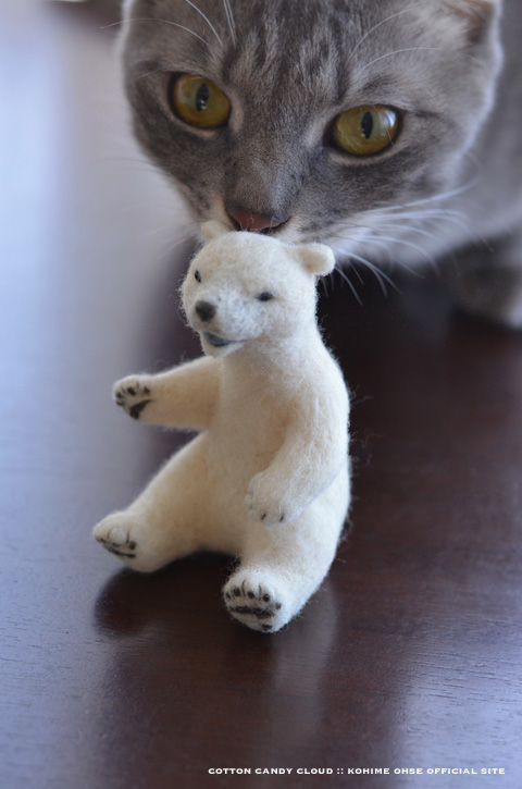 polarbear_06.jpg