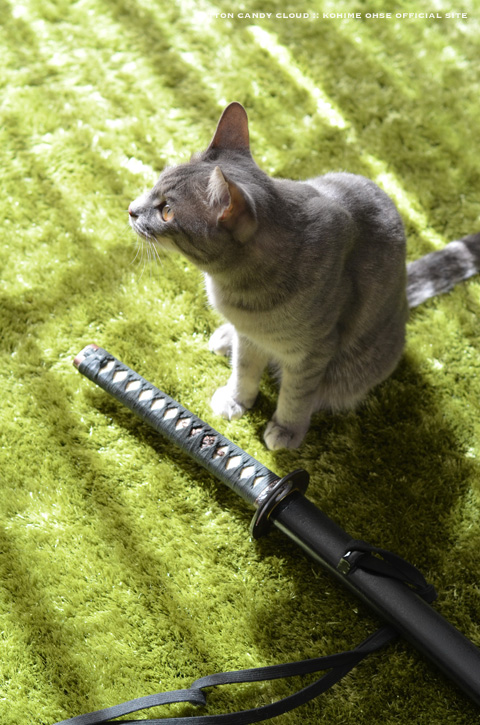 ねこ侍 0ae7bf88b7e7046dd79f496278befc