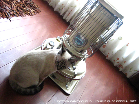 stove_01.jpg