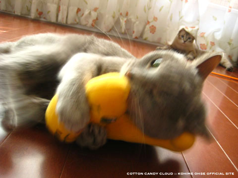toys_08.jpg