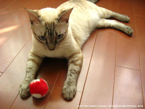 toys_09.jpg