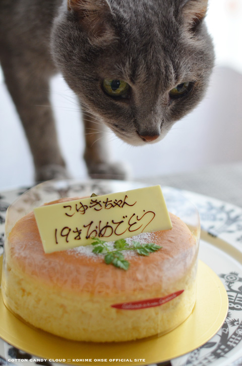 yuchiBD19_01.jpg